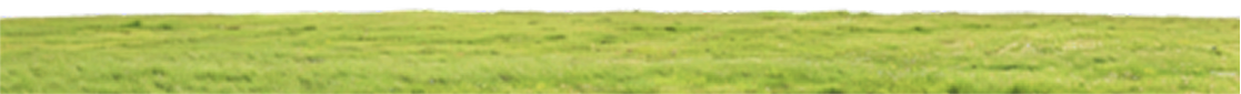 Pasto