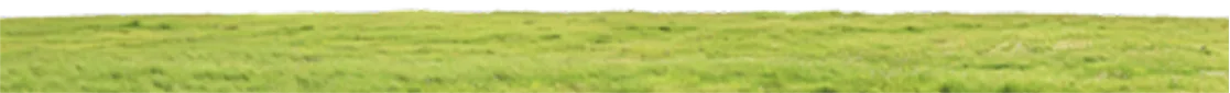 Pasto