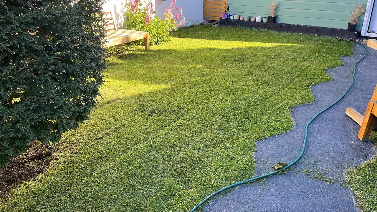 Césped con borde curvo perfilado